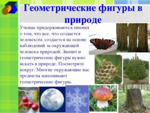 Геометрические фигуры в природе Ученые придерживаются мнения о том, что все,