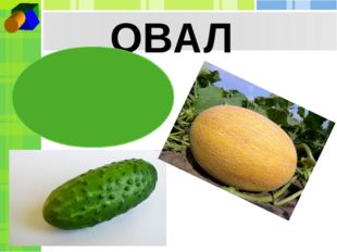 ОВАЛ 