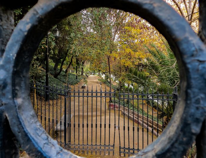 Photo of a park seen through a circular part of a gate in the foreground as a frame within a frame