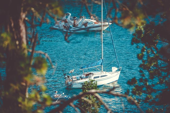 Photo of yachts on a waterscape using the branches of a tree as a photographic framing method