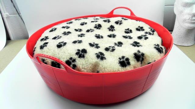 Лежанка для кошки из таза