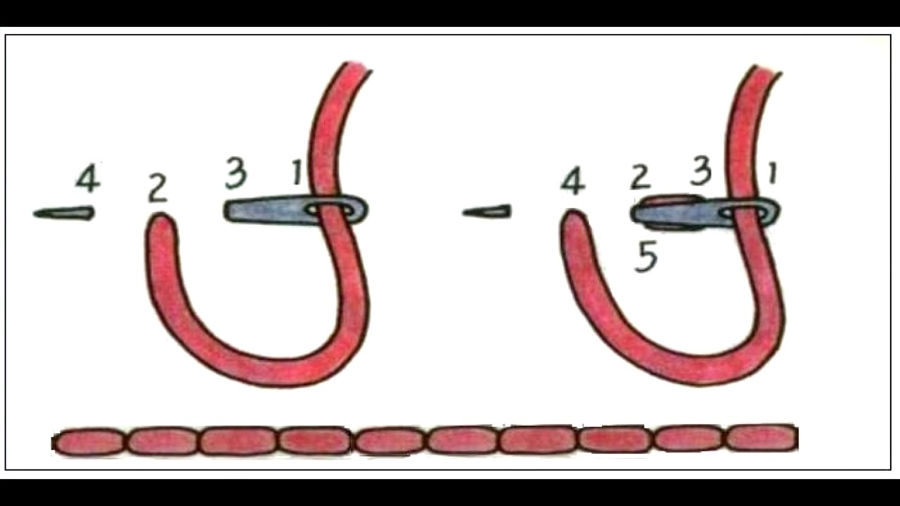Шов иголка назад 3 класс