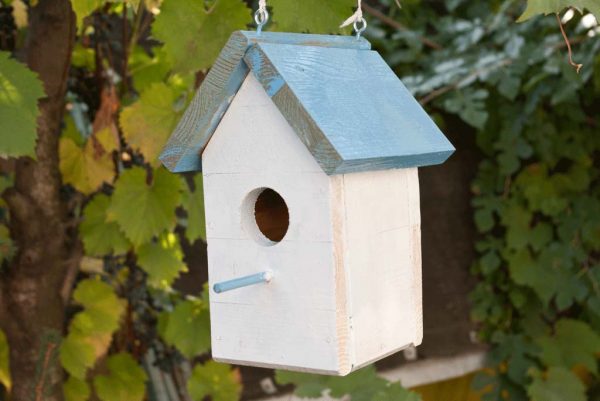 small-birdhouse-plans