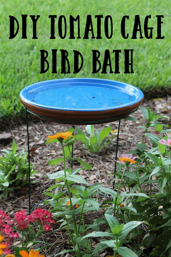 DIY bird bath