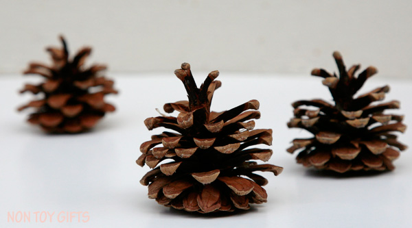 pinecone apple craft for kids