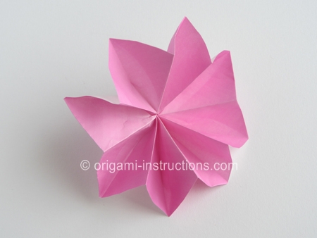origami-8-petal-flower