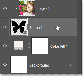 Selecting the Shape layer in the Layers panel.