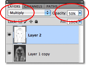 Changing the blend mode to Multiply and lowering the layer opacity. Image © 2011 Photoshop Essentials.com.