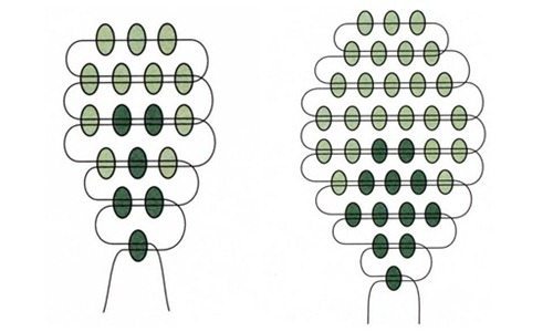 Схема плетения объемной розы из бисера