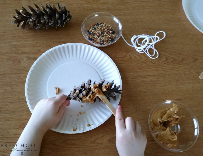Spreading peanut butter to make pine cone bird feeders