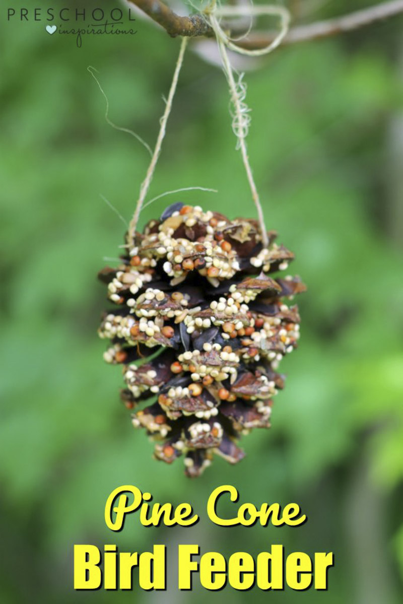 Making pine cone bird feeders with kids