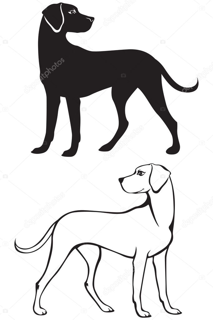 Контур собаки рисунки и картинки (5)