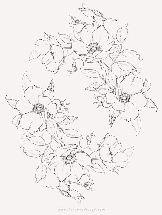 Красивые рисунки цветов для срисовки (18)