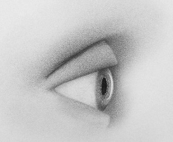 drawing eyes from the side step 8
