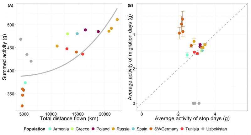 White storks found to be altering migration patterns due to human environmental changes