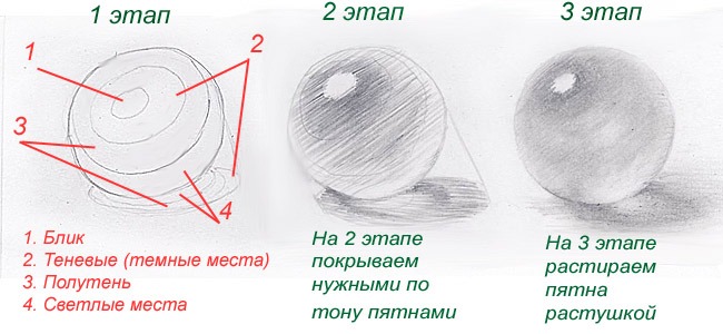 Этапы рисунка сферы