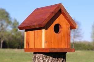 Enjoy your birdhouse for seasons to come.