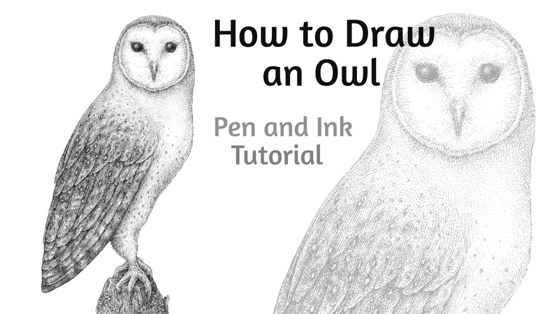 How to Draw an Owl with Pen and Ink