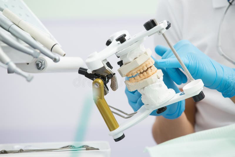 Articulator with teeth mould royalty free stock photo