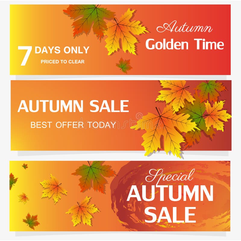 Autumn sale banner season leaf card nature background design vector illustration vector illustration