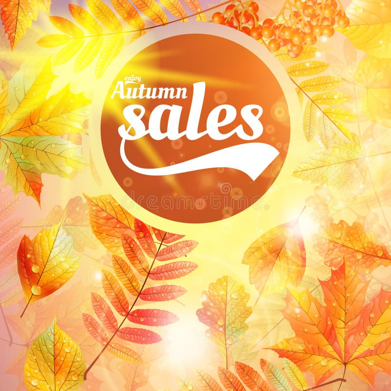 Autumn sale fall yellow leaves nature background. royalty free illustration