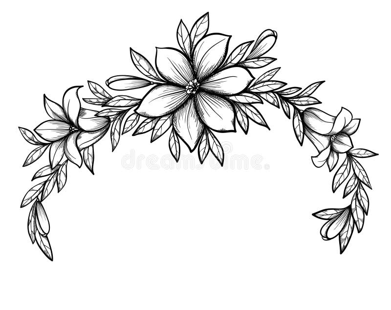 Beautiful graphic drawing Lily branch with leaves royalty free illustration