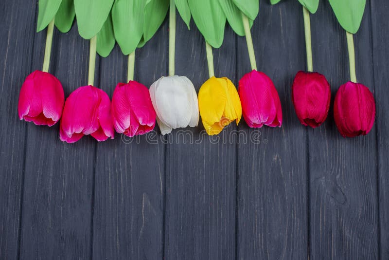 Beautiful postcard with flowers tulips. On a wooden background for Mother`s Day and March 8 stock photography