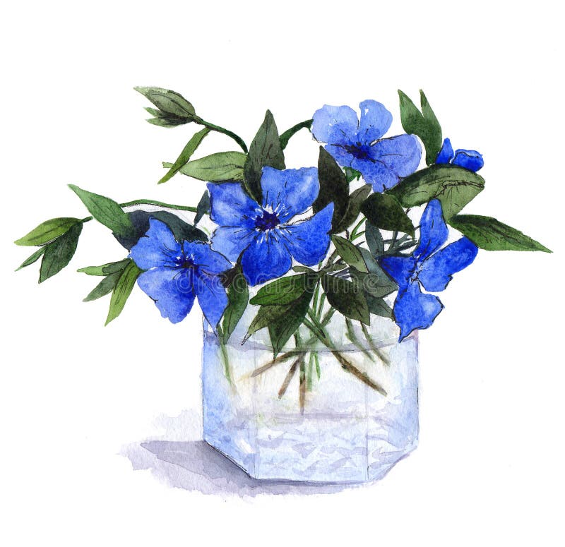 Bouquet of blue periwinkle flowers in glass vase. Watercolor illustration royalty free illustration