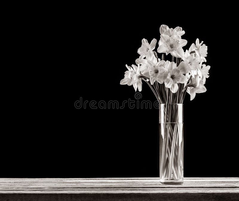 A bouquet of Narcissus flowers in a glass vase on a wooden table on a black background with a copy space stock image