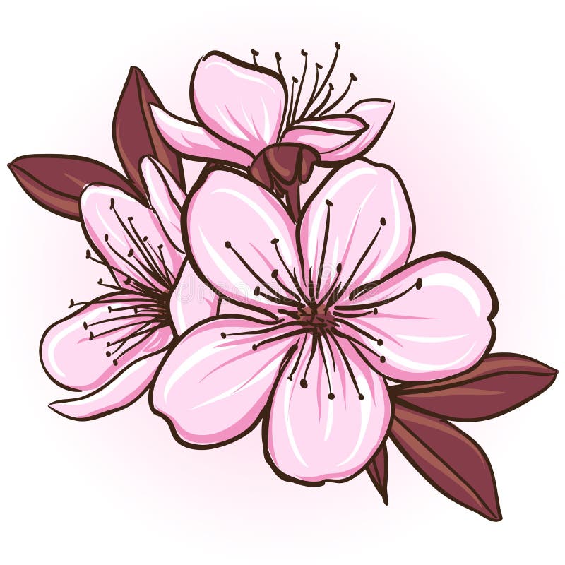 Cherry blossom stock illustration