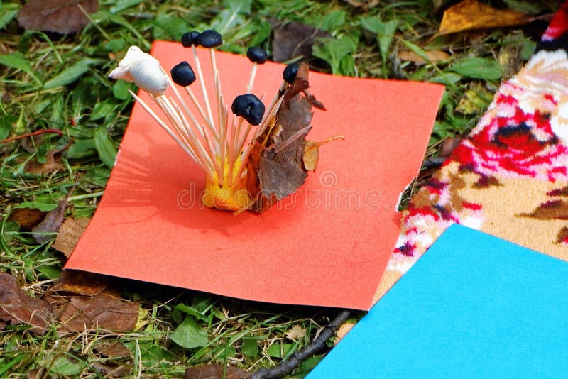Children hack hedgehog from clay and toothpicks. Children`s creativity. Hedgehog made from clay and toothpicks and autumn leaves. Homemade hedgehog sits on red royalty free stock images