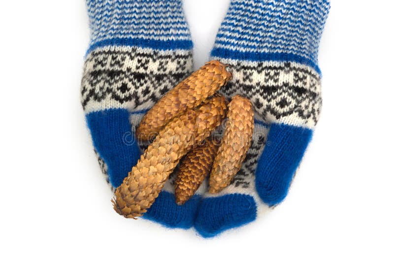 Forest cones in mittens on a white background. stock photo