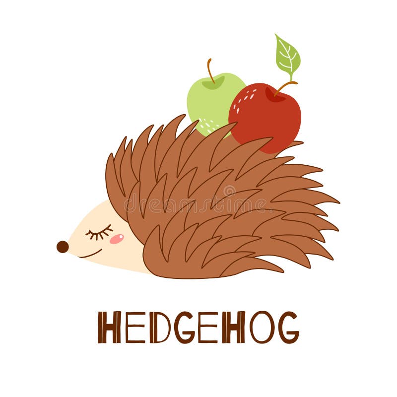 Cute hedgehog with apple isolated on white. Illustration for kids. Wild animal. Hedgehog cartoon style. Autumn graphic. Cute hedgehog with apple. Hedgehog vector illustration