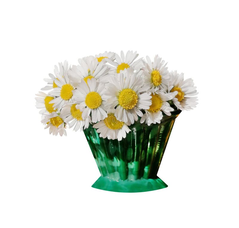 Daisies in a vase stock photography