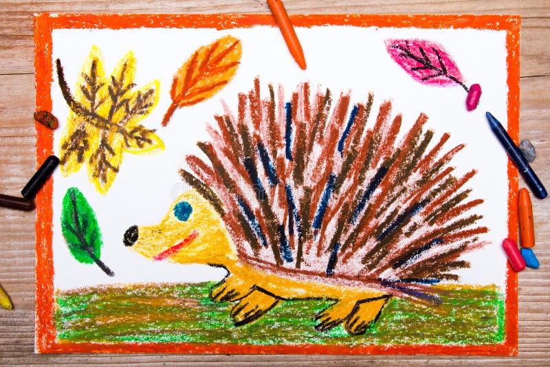 Drawing - hedgehog and autumn leaves. Colorful drawing - happy hedgehog and autumn leaves vector illustration