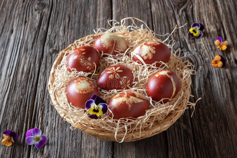 Easter eggs dyed with onion peels with a pattern of herbs. Easter eggs dyed with onion peels with a pattern of fresh herbs in a wicker basket with colorful pansy stock image