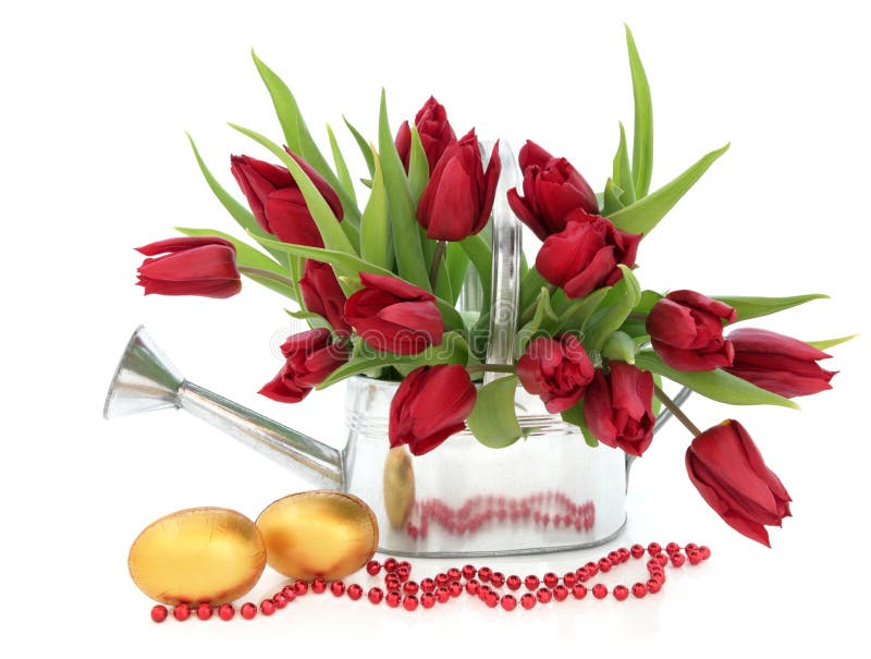 Easter Eggs and Tulips. Tulip flower arrangement in a metal watering can with golden easter egg group and red bead chain over white background royalty free stock photos