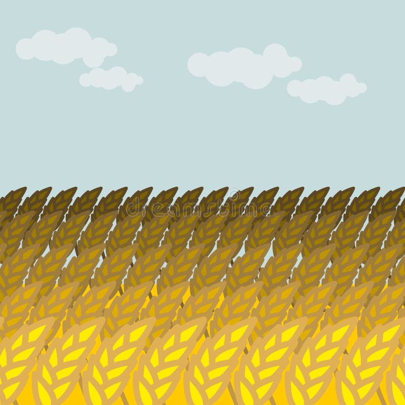 Field of wheat. Grain field and blue sky. Rye Spikes stock illustration