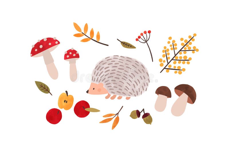 Forest flora and fauna hand drawn vector illustration. Autumn season symbols watercolor painting. Hedgehog, foliage. Mushrooms, organic apples and natural royalty free illustration
