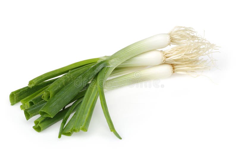 Fresh green onions. Bunch green onions. Isolated on white background royalty free stock images