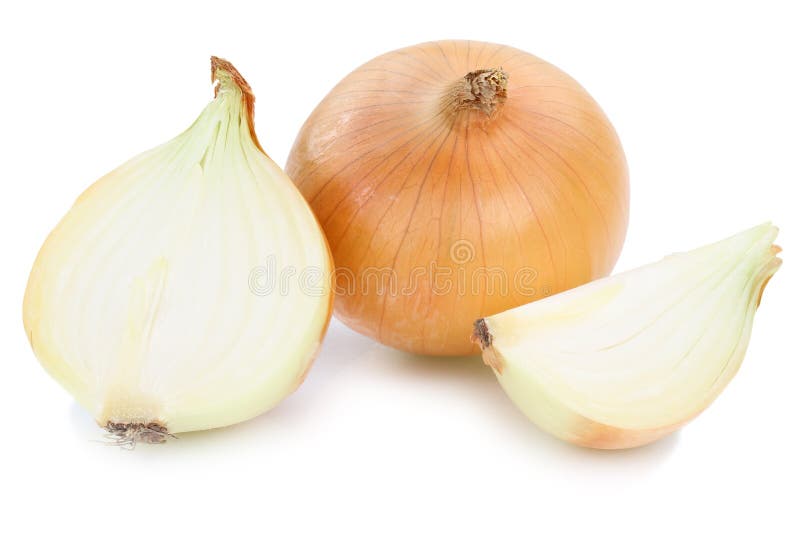 Fresh onion onions slice slices vegetable isolated on white. Fresh onion onions slice slices vegetable isolated on a white background stock photo