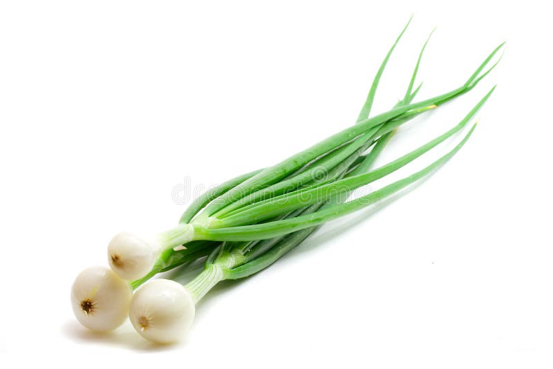 Green onions. Close-up green onions, isolated on white stock images