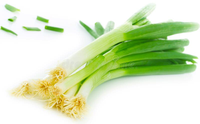 Green onions. Freshly harvested green onions, leek royalty free stock photography