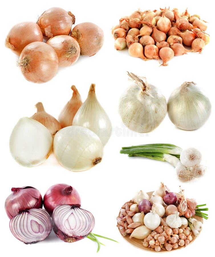 Group of onions. In front of white background royalty free stock photo