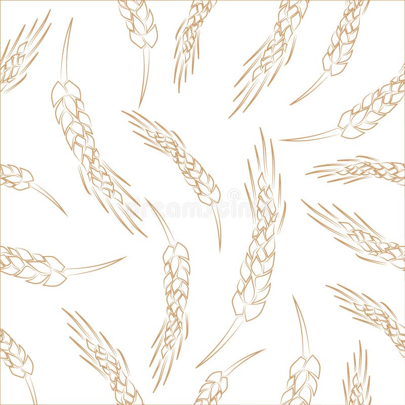 Hand drawn seamless vector wheat spikelets background stock illustration