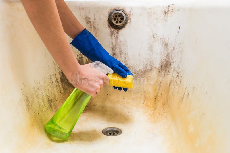 Hands in blue rubber worker hand gloves hold sponge and spray with detergent clean bath tub covered in fungus, dirt and mold royalty free stock photo