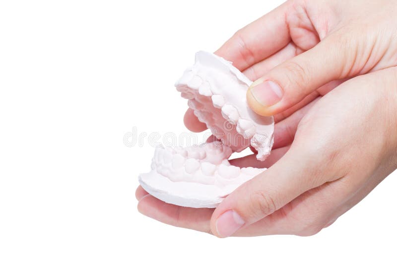Hands holding the mould of human teeth royalty free stock image