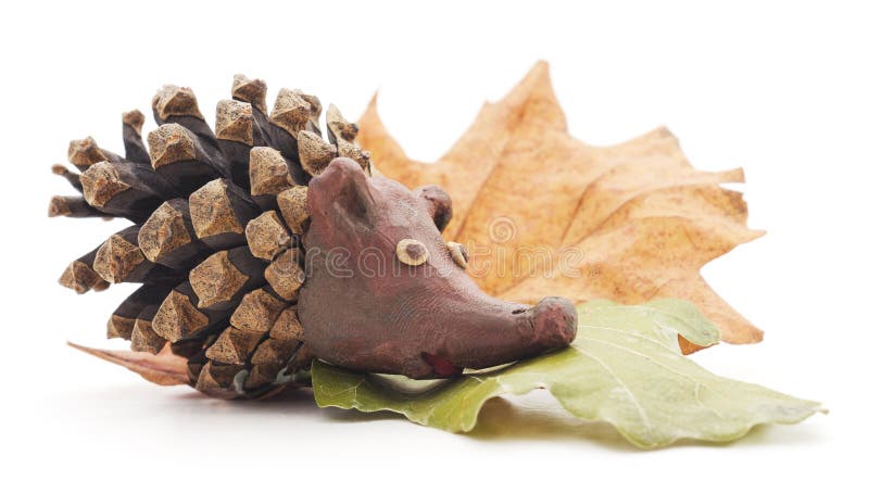 Hedgehog with cone. royalty free stock photo