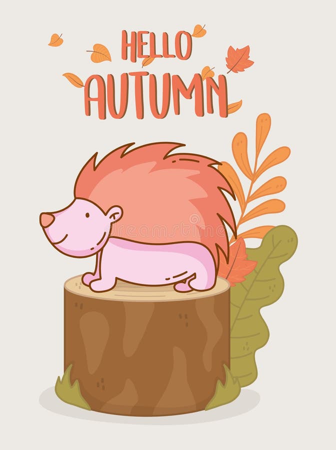 Hedgehog hello autumn design icon. Hedgehog trunk hello autumn design icon vector illustration vector illustration