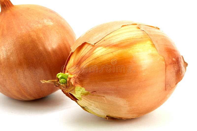 The image of a natural vitamin for humans - onion. Which has the necessary and beneficial vitamins that protect the human body from viruses stock images